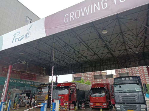 萬邦市場貨量充足,供應(yīng)基本正常,農(nóng)副產(chǎn)品價(jià)格基本穩(wěn)定