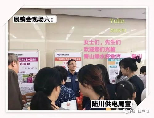 九洲江水競風(fēng)流 脫貧攻堅獻(xiàn)身手