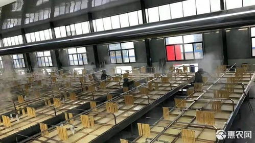 腐竹 廠價直銷 量大可訂做包裝規格許昌含鹽價格7.2元 斤 惠農網