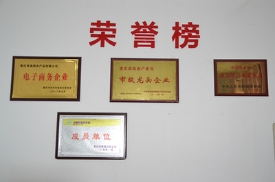 重慶香滿園網上平臺新版上市:讓農產品觸電采購