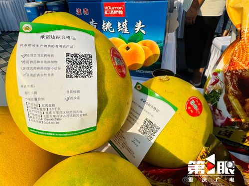 更好守護 舌尖上的安全 重慶市開展食用農產品承諾達標合格證宣傳活動