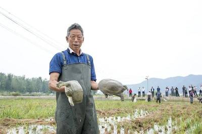 產(chǎn)業(yè)紀(jì)實(shí) | 發(fā)展產(chǎn)業(yè)拔窮根 脫貧致富奔小康--我市開展產(chǎn)業(yè)扶貧推進(jìn)精準(zhǔn)脫貧紀(jì)事