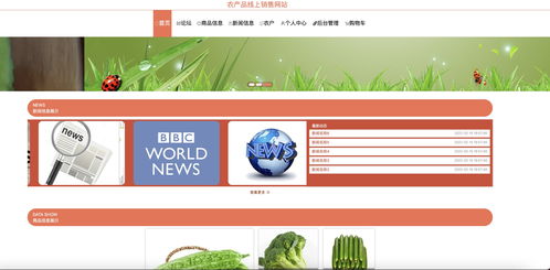java畢業設計 基于ssm vue農產品線上銷售網站