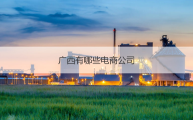 廣西有哪些電商公司 電商企業業務內容