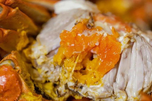 購(gòu)買(mǎi)崇明優(yōu)品,認(rèn)準(zhǔn)山水標(biāo)志 崇明世界級(jí)生態(tài)島遞出農(nóng)產(chǎn)品名片