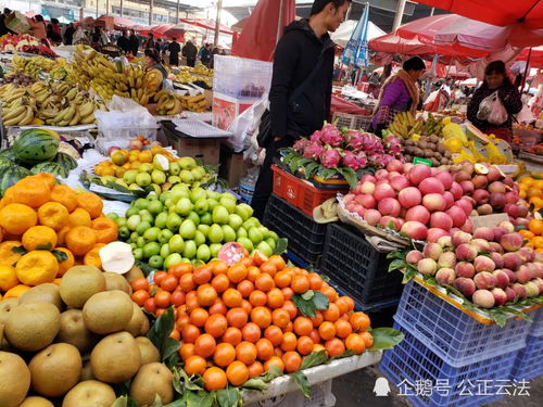 保山市隆陽區2019年12月中旬農產品市場價格穩定，網絡銷售助力初級農產品流通