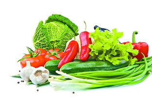 政府支持為堅強后盾，有效避免禽蛋等農(nóng)產(chǎn)品價格大起大落