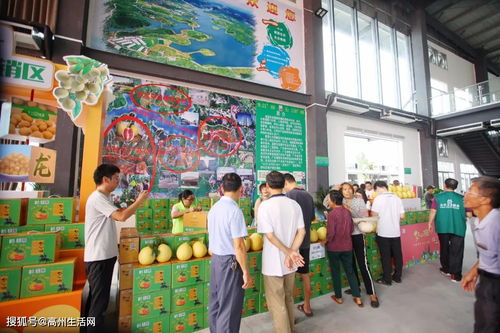 高州市鎮(zhèn)江鎮(zhèn)扶貧農(nóng)產(chǎn)品日銷超14萬元 線上線下融合驅(qū)動(dòng)家禽銷售新突破